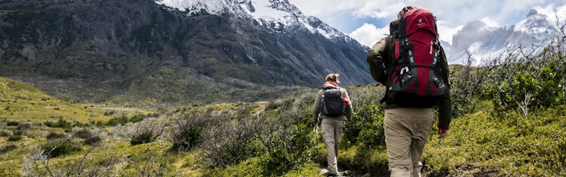 自行车运动员在山区公路赛中奋力骑行