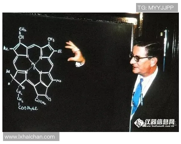 巨蟹座球星在足球赛场上的非凡表现与独特魅力分析