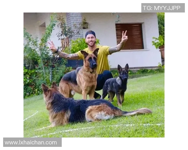 足球球星们宠爱的狗狗品种与名字大揭秘